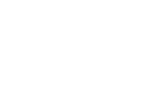 2030 Vision